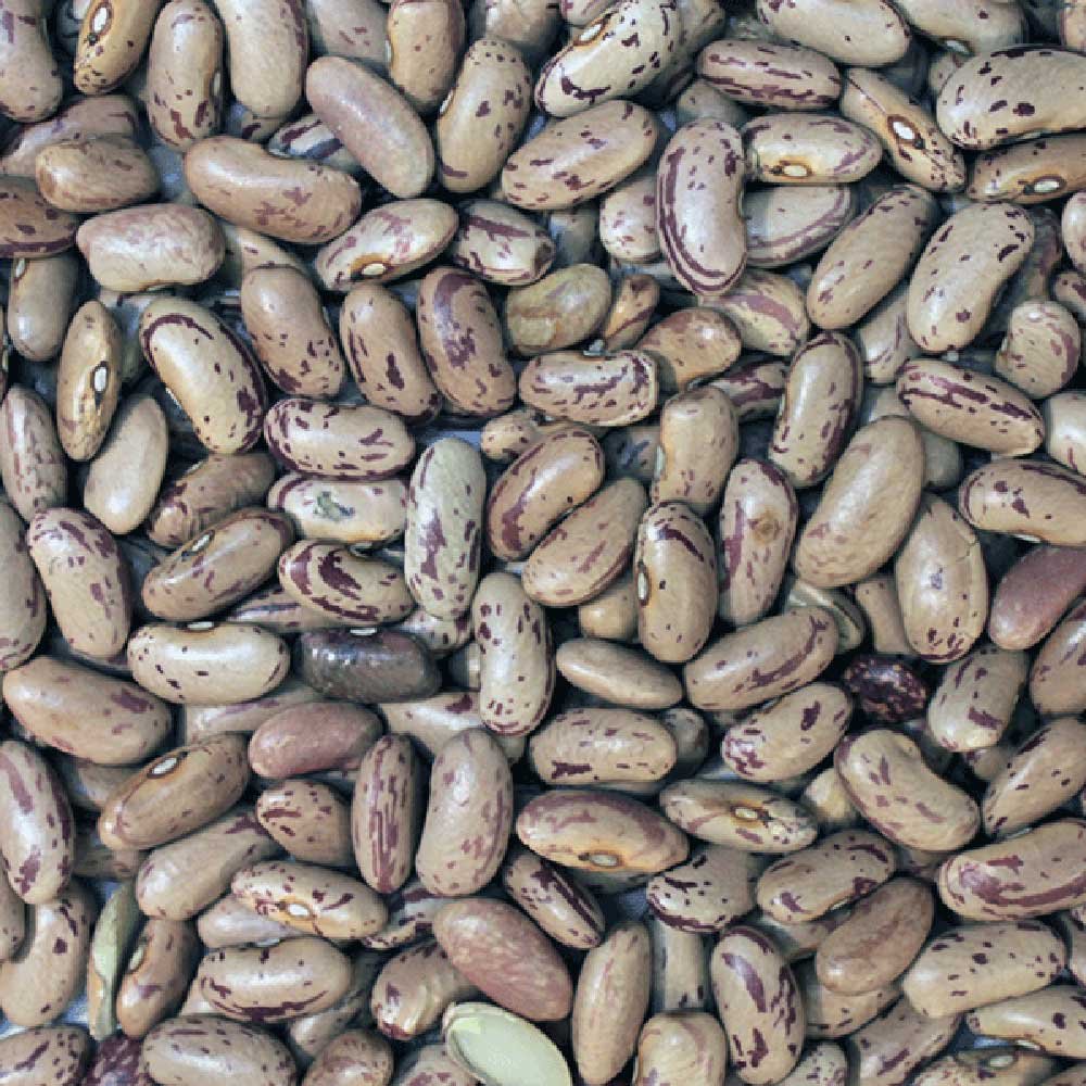 Organic Pinto Beans Infinity Bulk 25kg Organic Pinto Beans Infinity Bulk 25kg