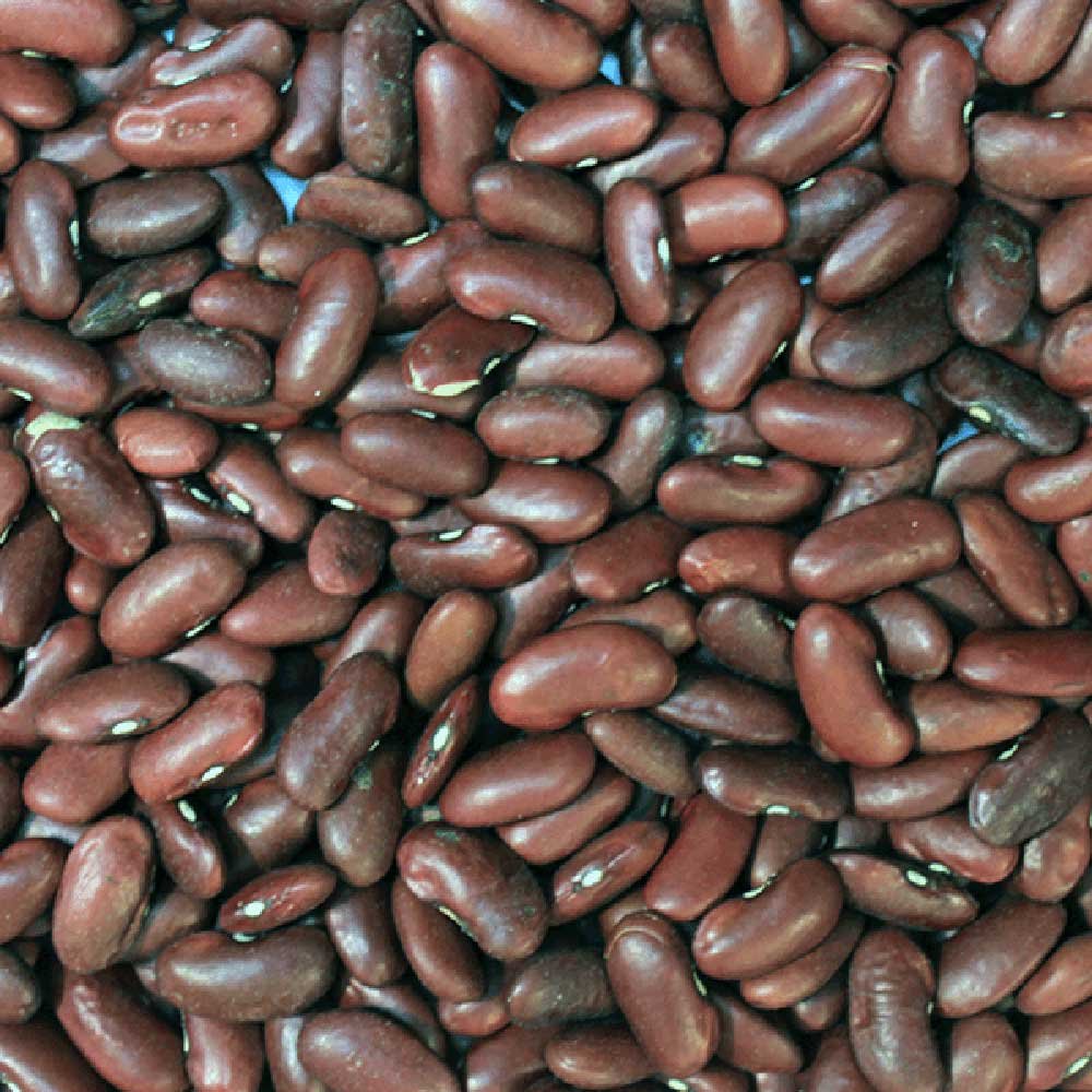 Organic Red Kidney Beans Infinity Bulk 25kg