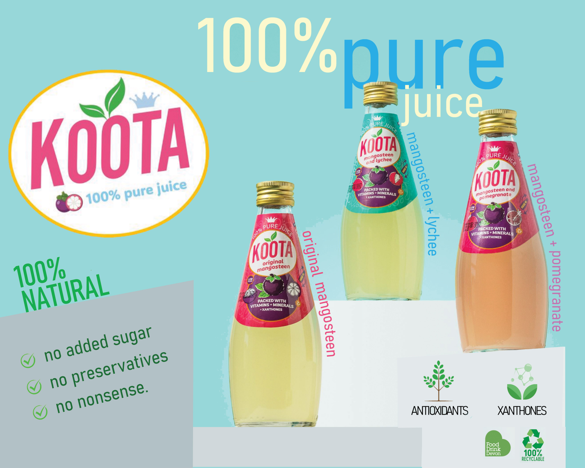 Koota