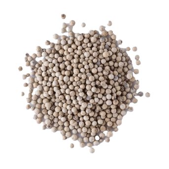 Organic Peppercorns White Whole Organic Herb Trading 1kg Organic Peppercorns White Whole Organic Herb Trading 1kg