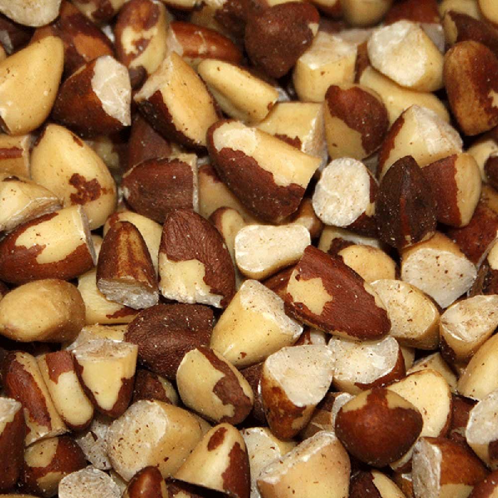 Organic Brazil Nuts - Broken Pieces Infinity Foods 250g Organic Brazil Nuts - Broken Pieces Infinity Foods 250g