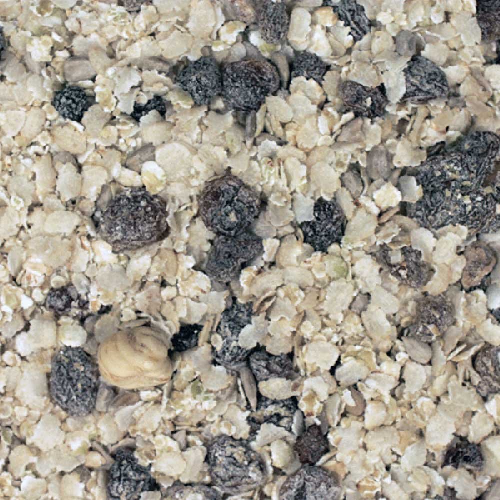 Organic Gluten-free Muesli - Original Infinity Foods 500g