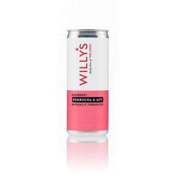 Organic Raspberry Kombucha & ACV Willy's ACV 12x250ml