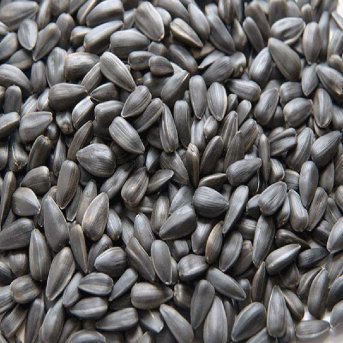 Organic Black Sunflower Seeds Aconbury Sprouts 1x2kg Organic Black Sunflower Seeds Aconbury Sprouts 1x2kg