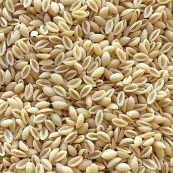 Organic Malloreddos - small shell - white Infinity Bulk 14kg Organic Malloreddos - small shell - white Infinity Bulk 14kg