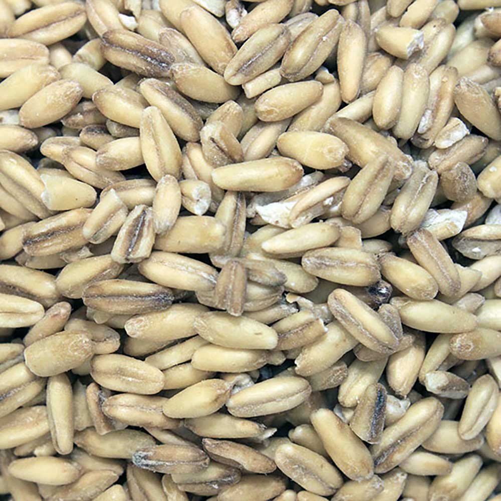 Organic Oat Groats Infinity Foods 500g Organic Oat Groats Infinity Foods 500g