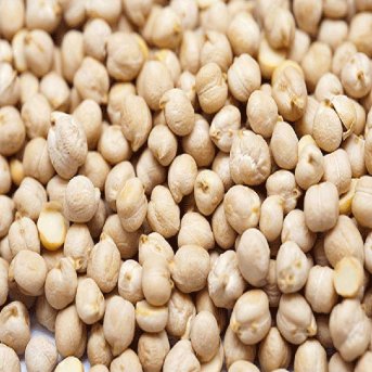 Organic Chickpeas Aconbury Sprouts 8x500g Organic Chickpeas Aconbury Sprouts 8x500g