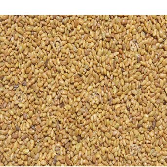 Organic Alfalfa Aconbury Sprouts 8x250g Organic Alfalfa Aconbury Sprouts 8x250g