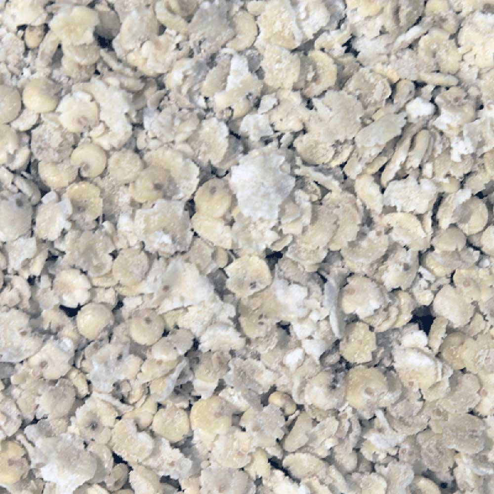 Organic Millet Flakes Infinity Foods 5kg