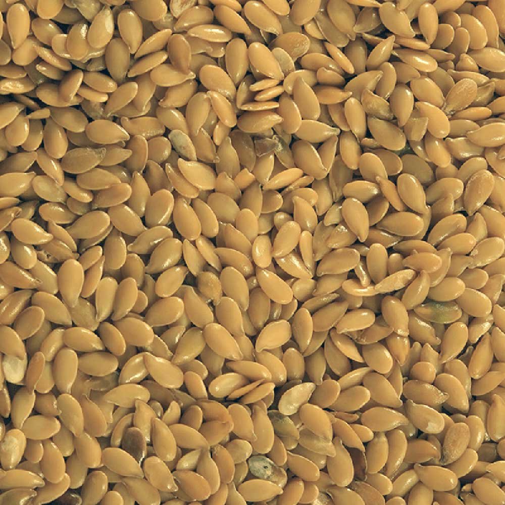 Organic Linseed Gold Infinity Bulk 25kg