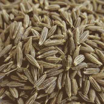 Organic Cumin Seed Organic Herb Trading 1kg