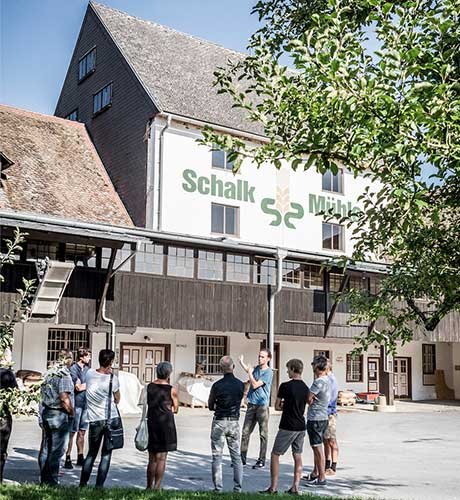 Austrian Pumpkin Seeds from Styria: Meet Schalk Mühle, Our Organic Supplier Austrian Pumpkin Seeds from Styria: Meet Schalk Mühle, Our Organic Supplier