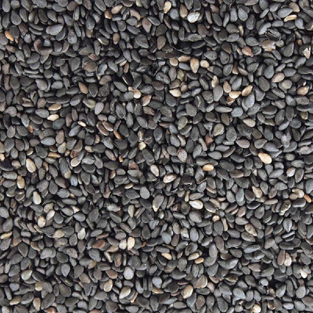 Organic Black Sesame Seeds - whole Infinity Bulk 25kg Organic Black Sesame Seeds - whole Infinity Bulk 25kg
