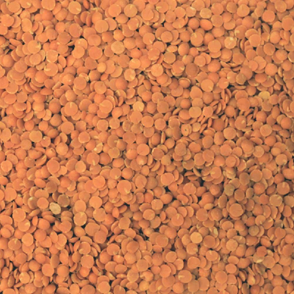 Organic Red Split Lentils Infinity Bulk 25kg