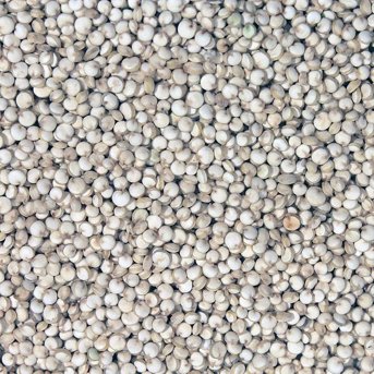 Organic British White Quinoa Grain - gluten-free Infinity Bulk 25kg