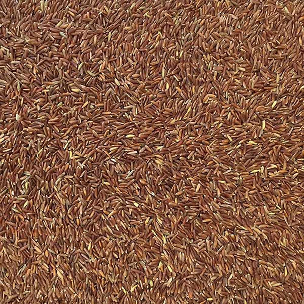 Organic Camargue Red Rice - France Infinity Foods 5kg