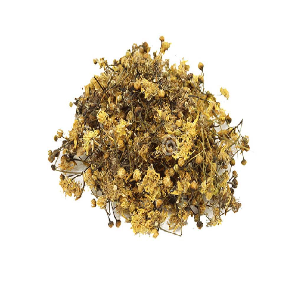 Lime Flowers Lime Flowers