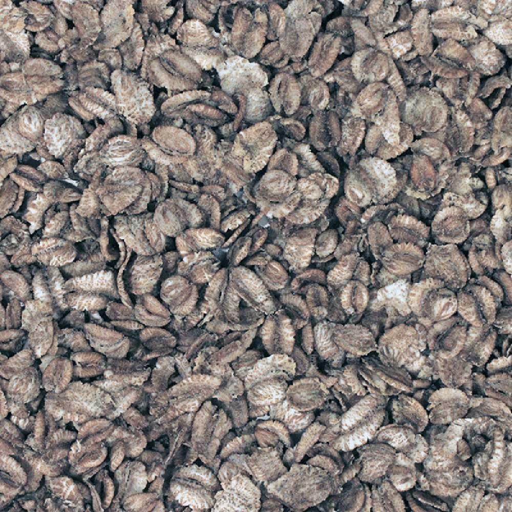 Organic Toasted Wheat Flakes Community 12.5kg