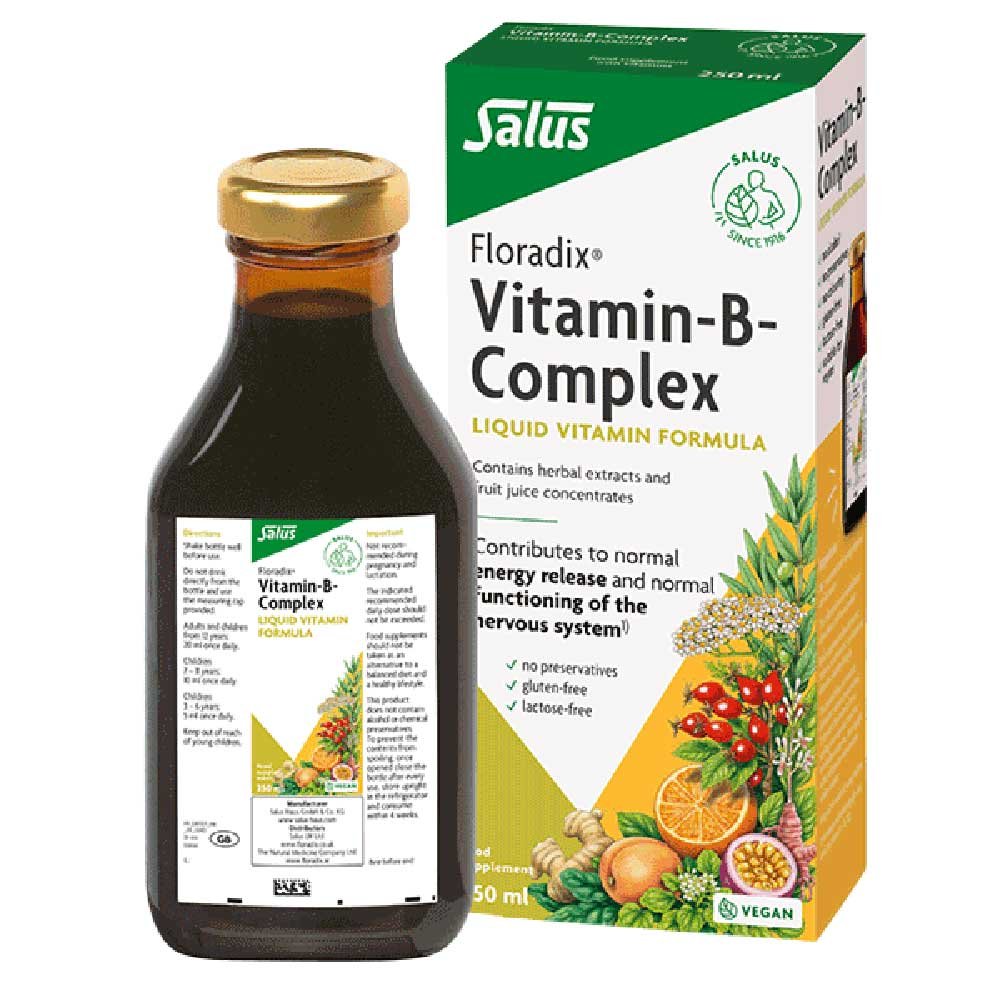 Vitamin B Complex YF GF VG Floradix 250ml