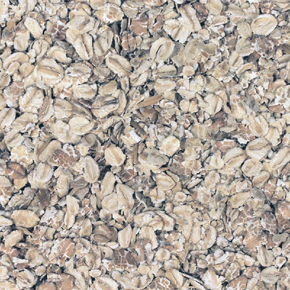 Organic Muesli Base Infinity Foods 5kg