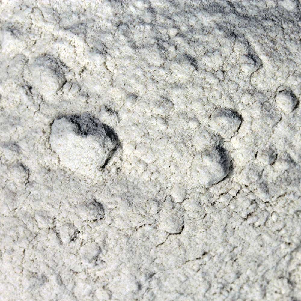 Organic Brown Rice Flour Infinity Foods 500g Organic Brown Rice Flour Infinity Foods 500g