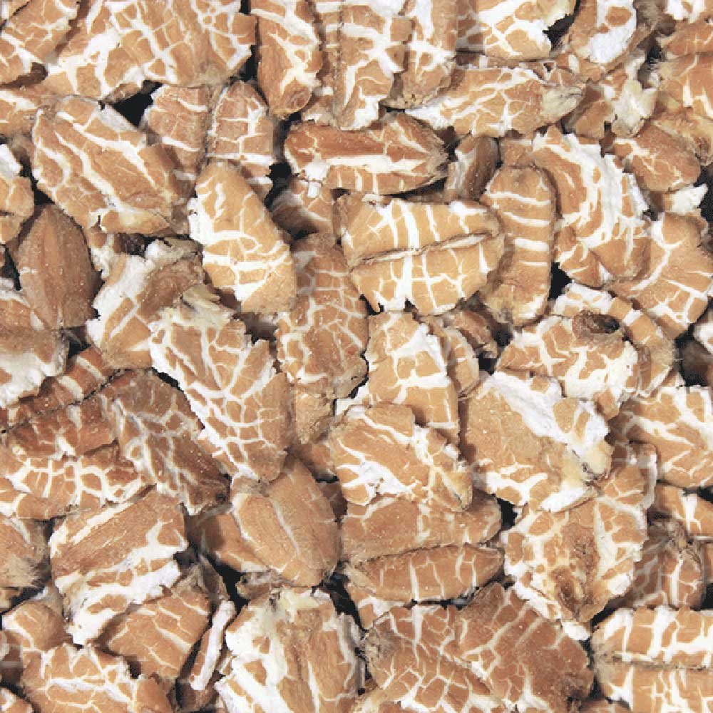 Organic Spelt Flakes Infinity Bulk 25kg Organic Spelt Flakes Infinity Bulk 25kg