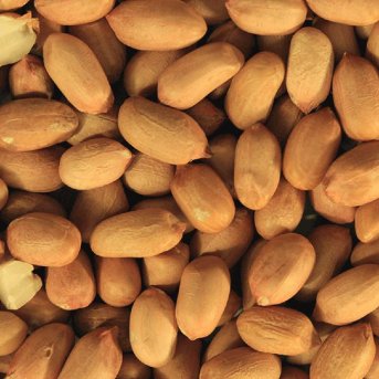 Organic Peanuts Infinity Bulk 25kg