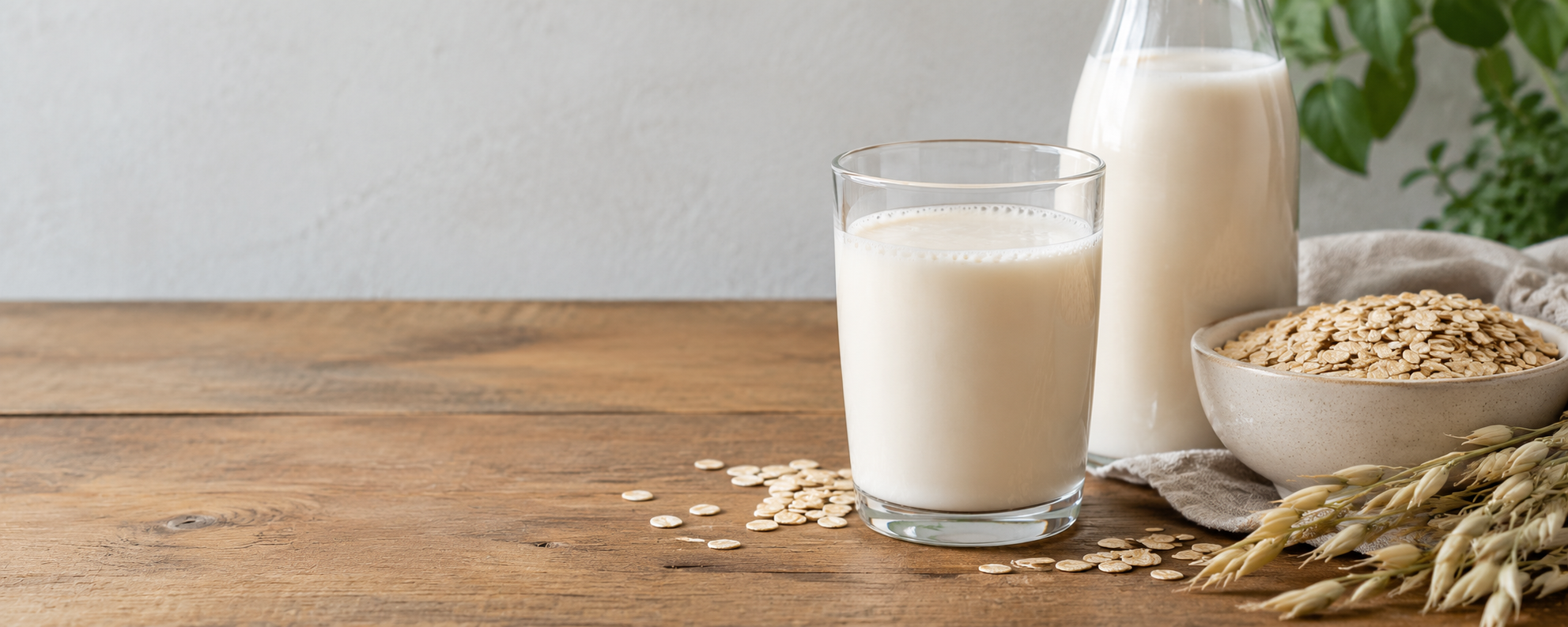 Oat drinks available wholesale from Infinity Foods Wholesale