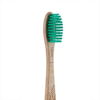Natural Beech Toothbrush - Medium Georganics 1