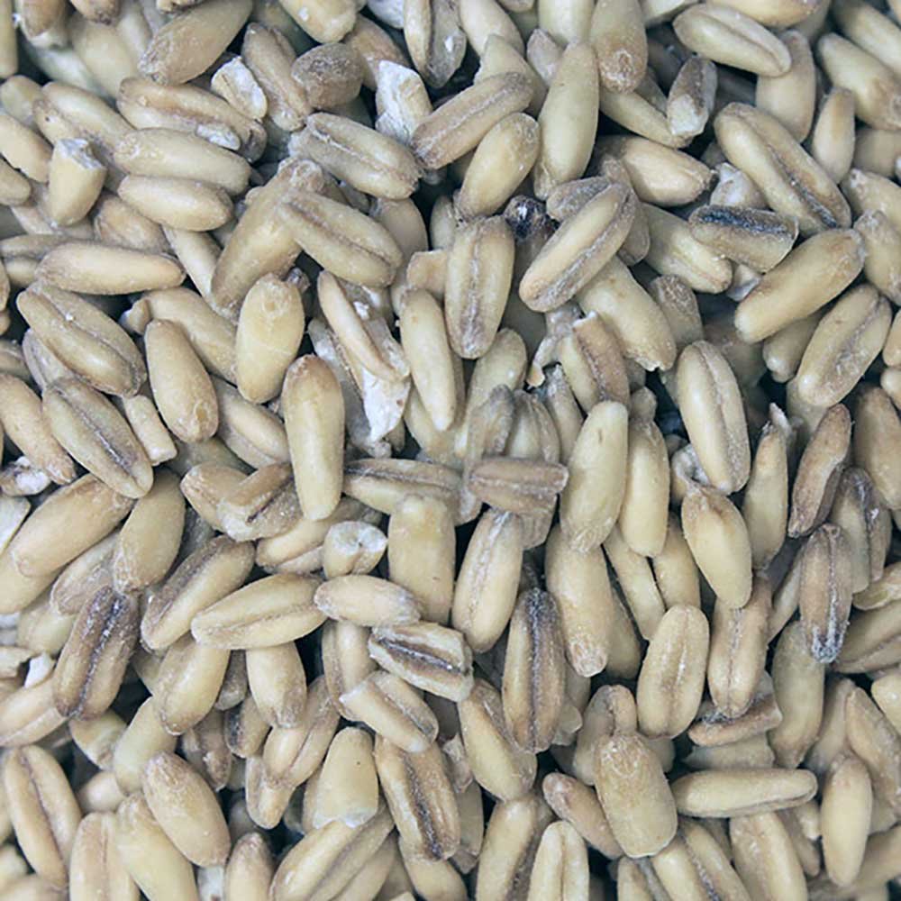 Organic Oat Groats Infinity Bulk 25kg