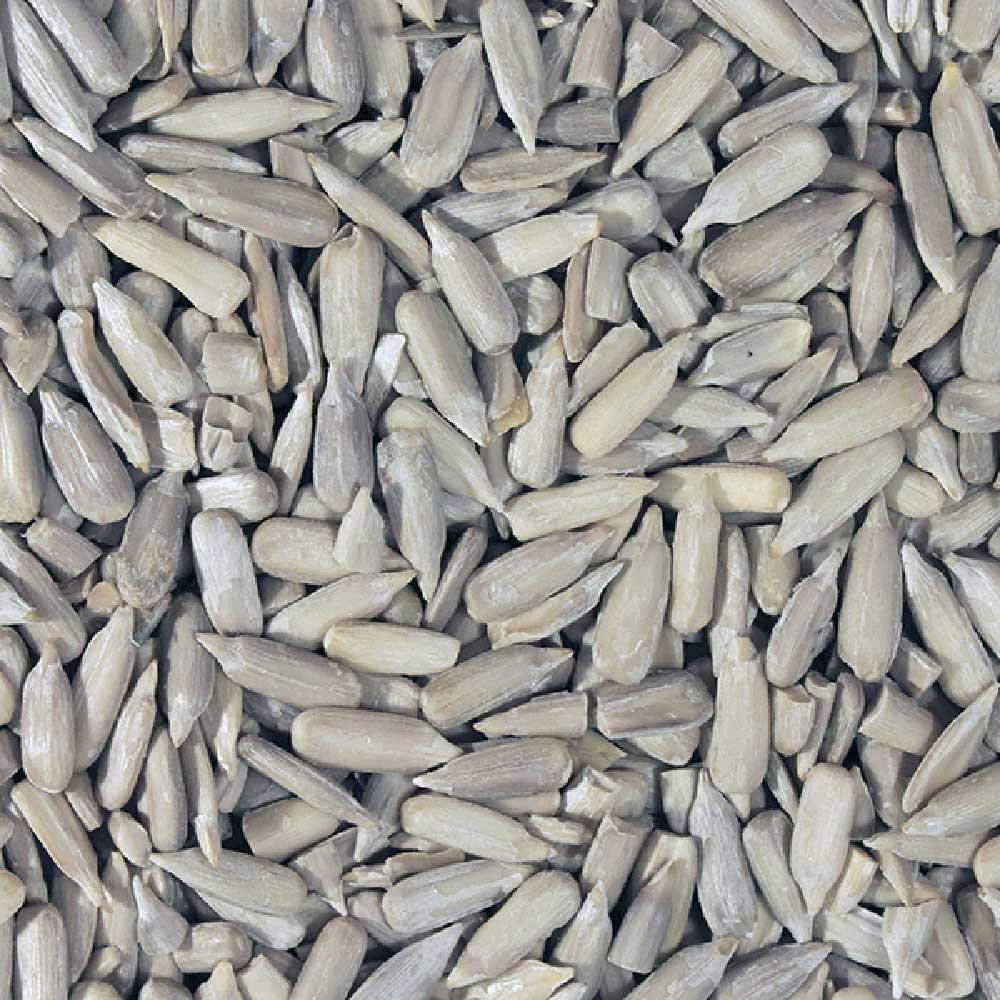Sunflower Seeds Infinity Foods 5kg