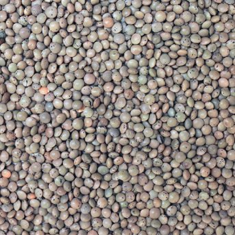 Organic Brown Lentils Infinity Bulk 25kg Organic Brown Lentils Infinity Bulk 25kg