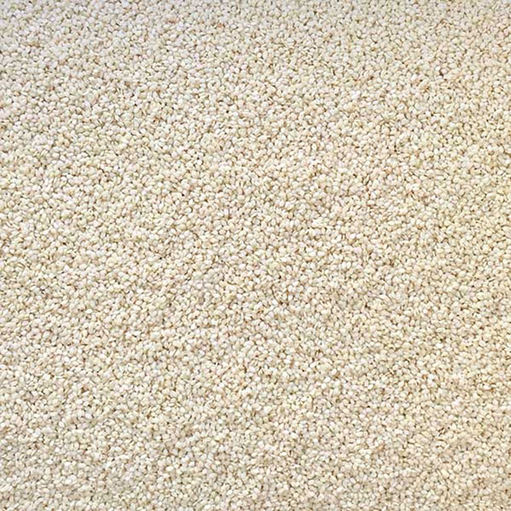 Organic Hulled Sesame Seeds - white Infinity Foods 5kg