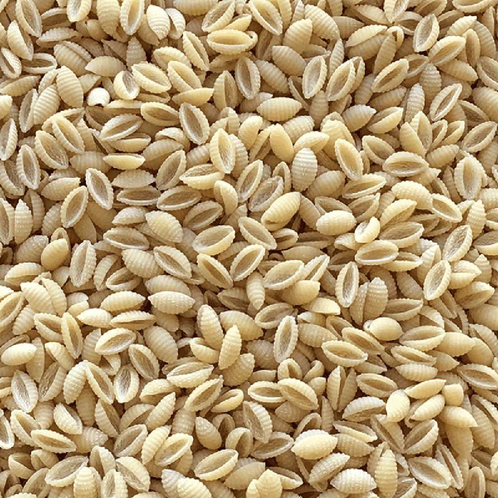 Organic Malloreddos - small shell - white Infinity Bulk 14kg Organic Malloreddos - small shell - white Infinity Bulk 14kg