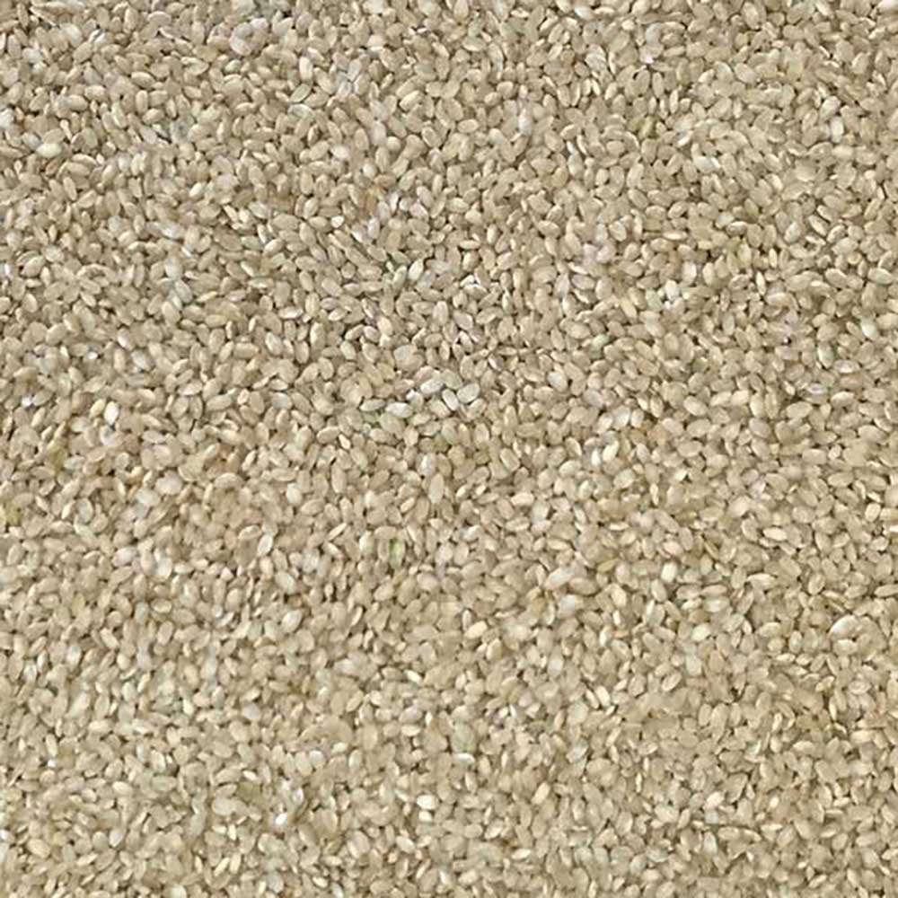 Organic Brown Rice Short Grain - Italy Infinity Bulk 20kg